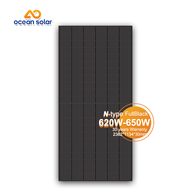 G12R Mono 620W-650W-සම්පූර්ණ කළු වීදුරු 